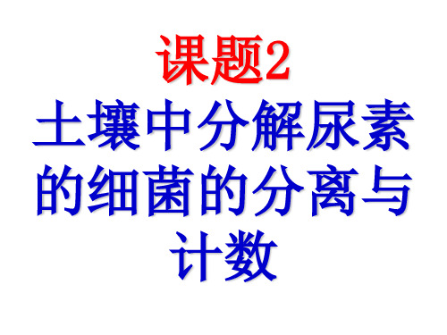 人教版高中生物选修一专题2微生物的培养与应用_课题1 微生物的实验室培养 (2)