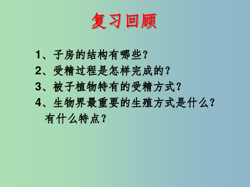 八年级生物上册 4.1.3 果实与种子的形成课件 (新版)济南版