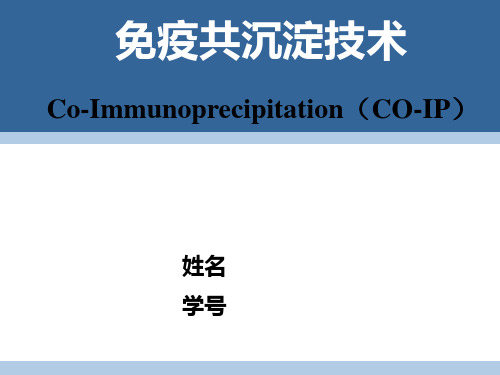 基因工程-免疫共沉淀技术