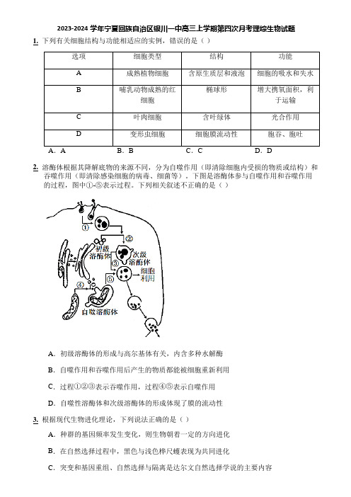 2023-2024学年宁夏回族自治区银川一中高三上学期第四次月考理综生物试题