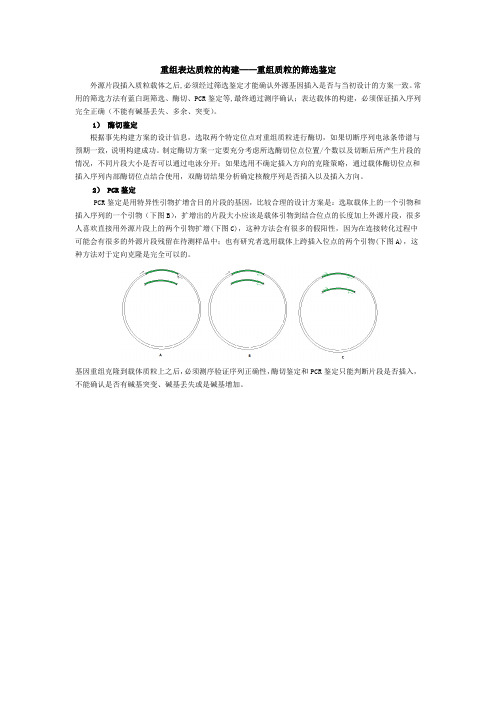 5重组表达质粒的构建——重组质粒的筛选鉴定