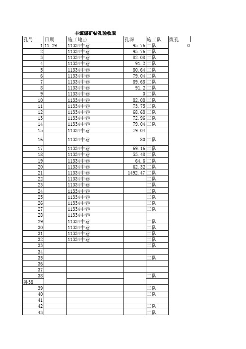 12月丰源煤矿钻孔统计表