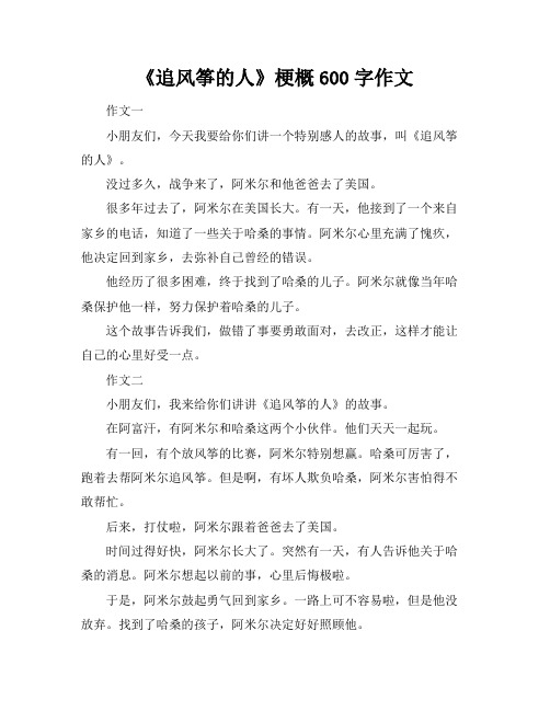 《追风筝的人》梗概600字作文