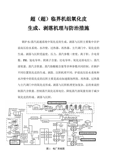 超(超)临界机组氧化皮生成、剥落机理与防治措施讲解