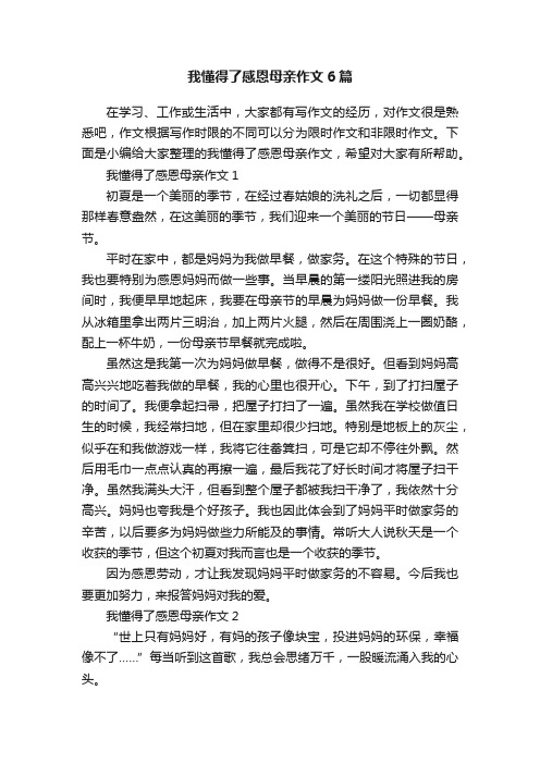 我懂得了感恩母亲作文6篇