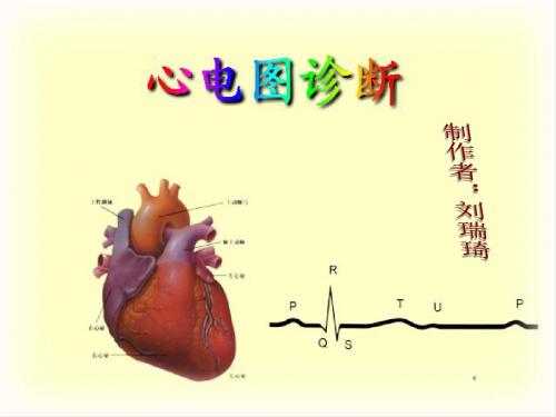 心电图的测量和正常数据