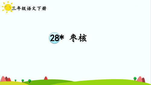 最新部编统编人教版三年级语文下册《28枣核》精品课件