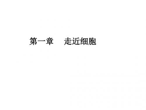 生物高中必修1第一、二章复习课件