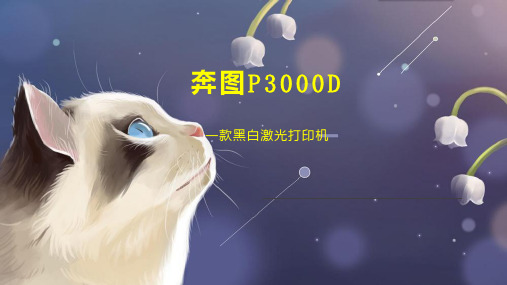 奔图P3000D