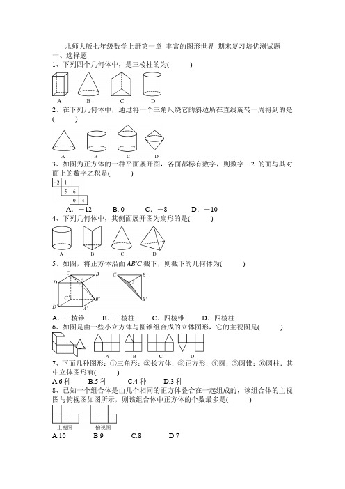 北师大版七年级数学上册第一章 丰富的图形世界 期末复习培优测试题(无答案)