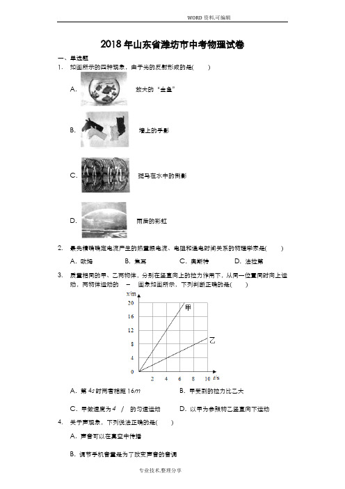 2018山东潍坊市中考物理试题_[解析版]