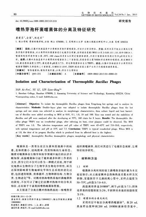 嗜热芽孢杆菌噬菌体的分离及特征研究