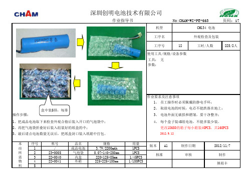 PE-663-A1 CM134 工艺流程图及作业指导书