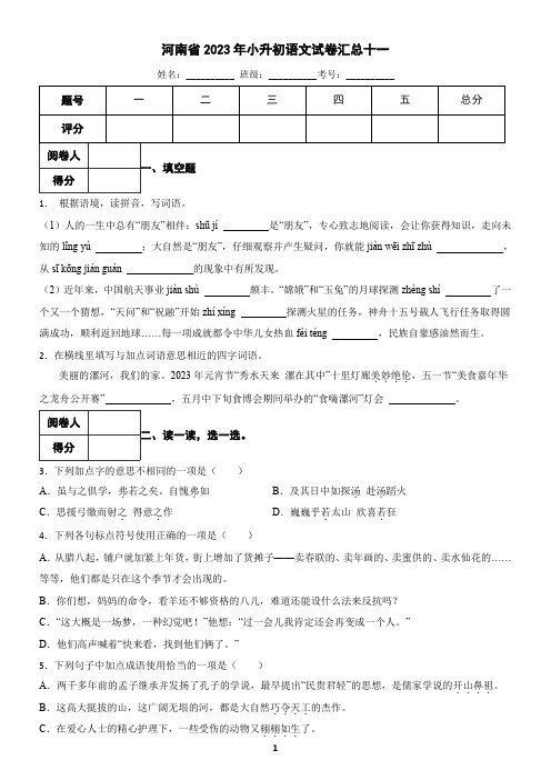 河南省2023年小升初语文试卷汇总十一(含答案)