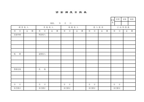 0609资金调度日报表