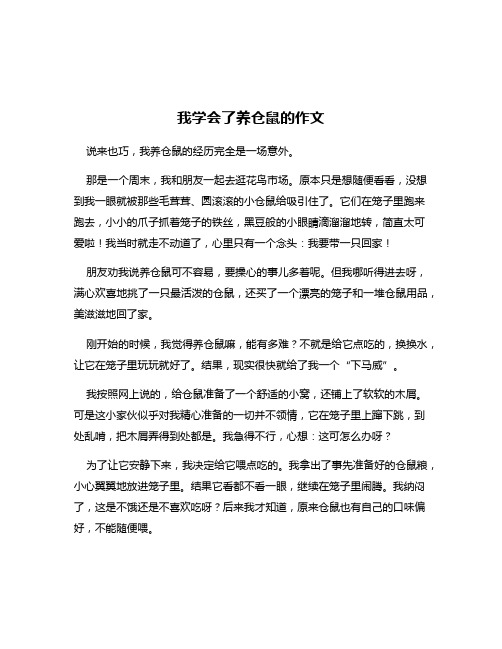 我学会了养仓鼠的作文