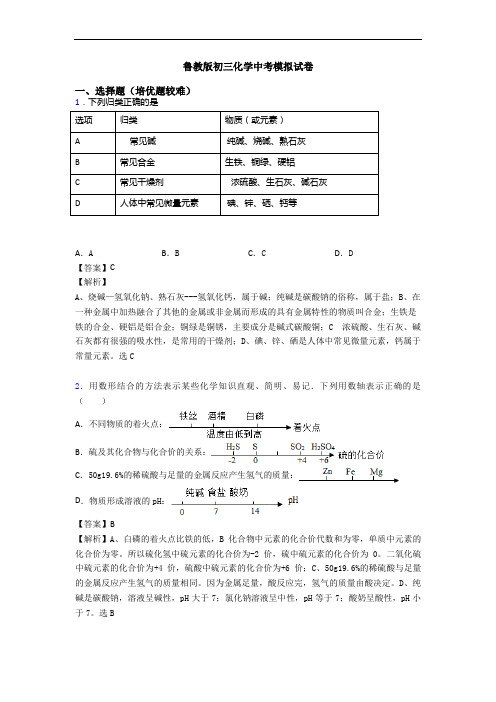 鲁教版初三化学中考模拟试卷