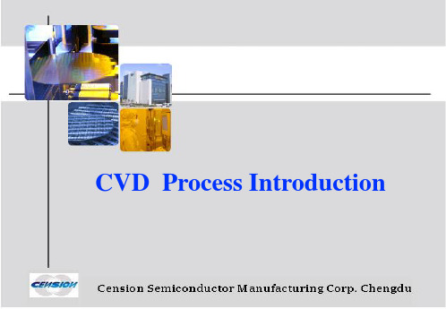 CVD Process introdution