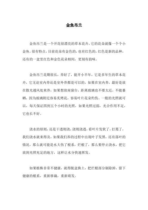 金鱼吊兰怎么养才能更旺盛