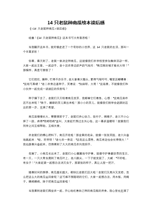 14只老鼠种南瓜绘本读后感