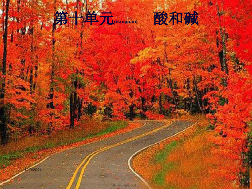 中考化学总复习 第10单元 酸和碱 课时1 常见的酸和碱课件