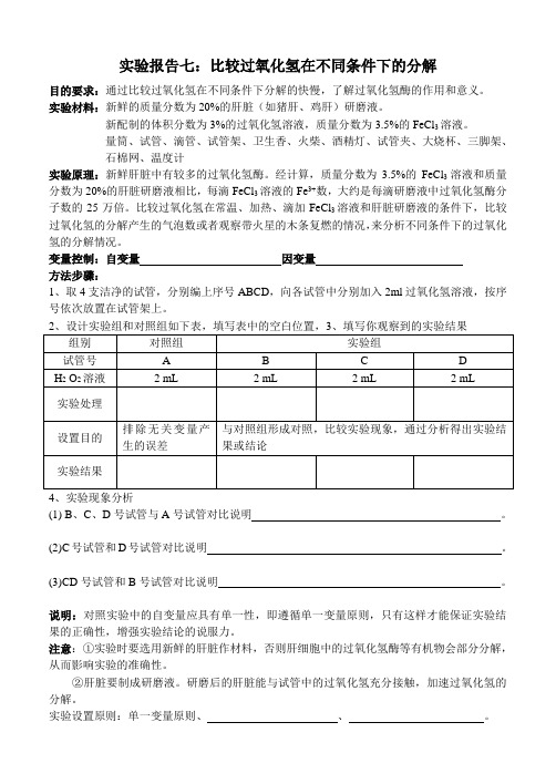 7实验报告探究不同条件下过氧化氢的分解