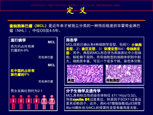 套细胞淋巴瘤的治疗进展培训课件