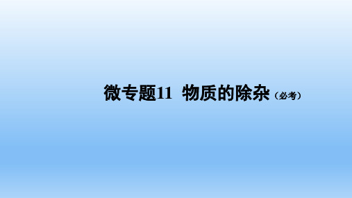 中考化学热点微专题11 物质的除杂