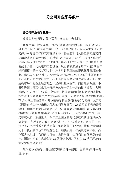 分公司开业领导致辞