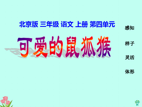 (北京版)三年级语文上册课件 可爱的鼠狐猴 3PPT教学课件