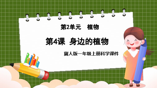 科学冀人版一年级上册4.身边的植物课件