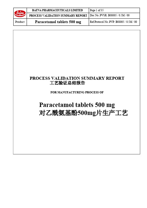 欧盟工艺验证报告 中英文翻译 