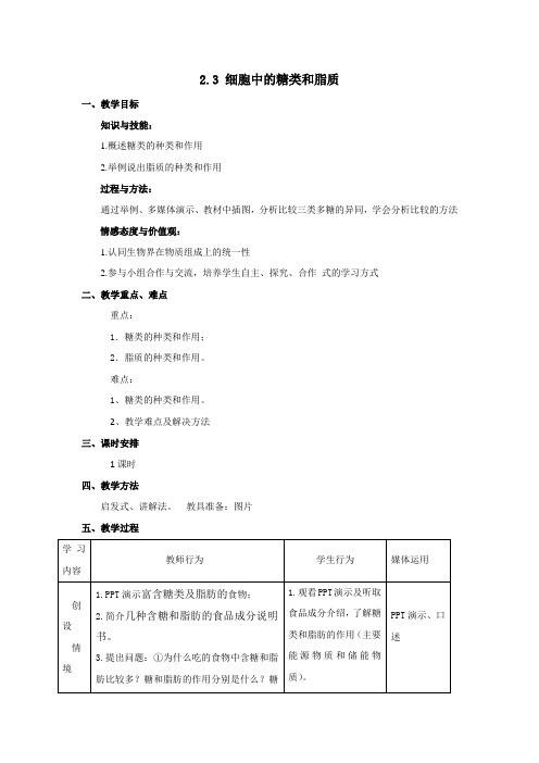 2.3 细胞中的糖类和脂质 教案【新教材】人教版(2019)高中生物必修一