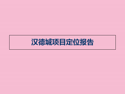 浙江宁波汉德城项目定位报告ppt课件