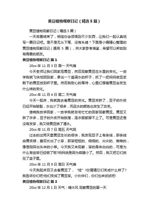 黄豆植物观察日记(精选5篇)