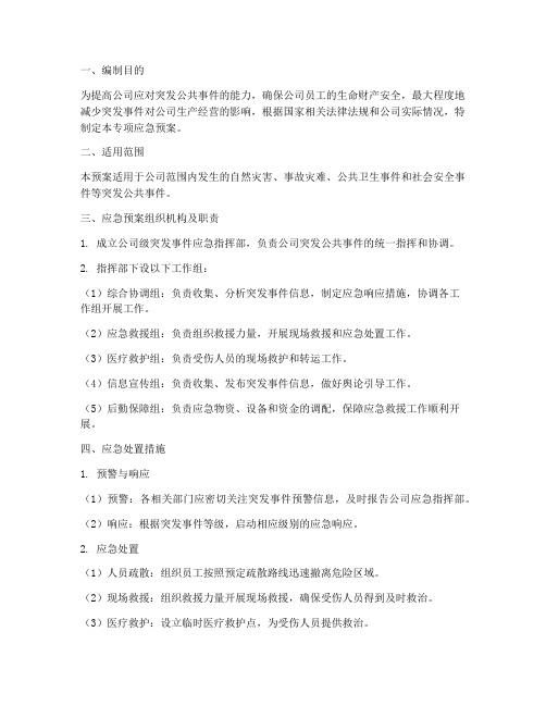 公司级专项应急预案