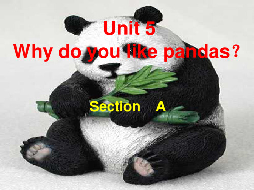 Unit+5+++Why+do+you+like+pandas+Section+A1