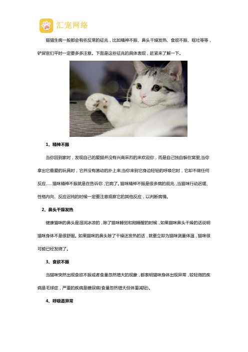 哪些征兆表示你的猫猫生病了