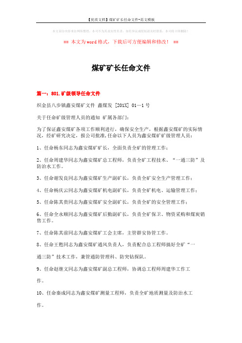 【优质文档】煤矿矿长任命文件-范文模板 (11页)