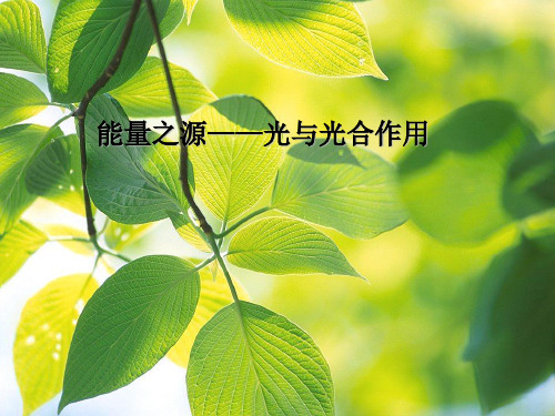 人教版生物必修一《能量之源——光与光合作用》PPT优质课件