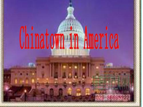 Chinatown_in_America