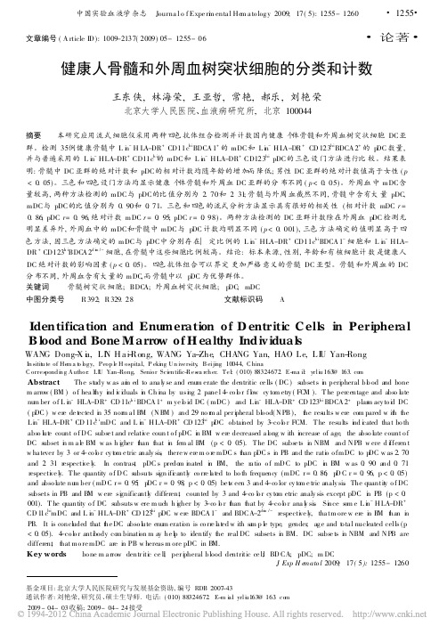 健康人骨髓和外周血树突状细胞的分类和计数