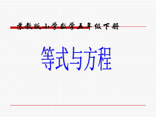 《等式与方程》PPT课件