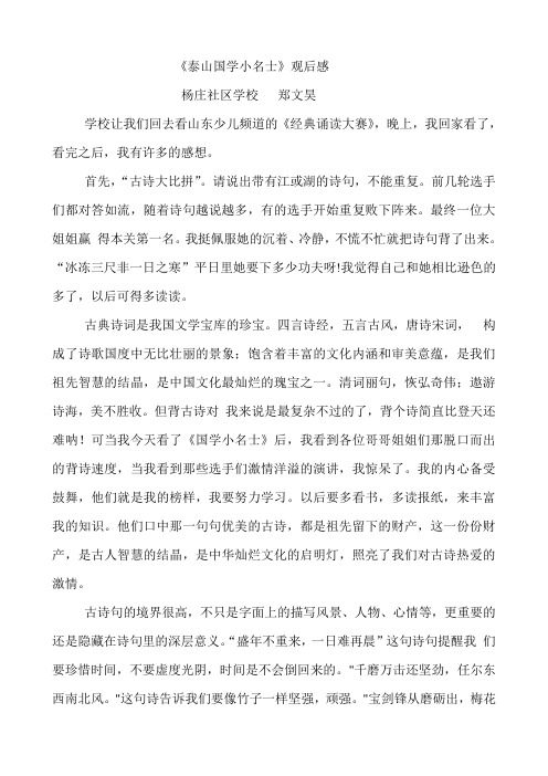 经典诗文泰安国学小名士观后感4