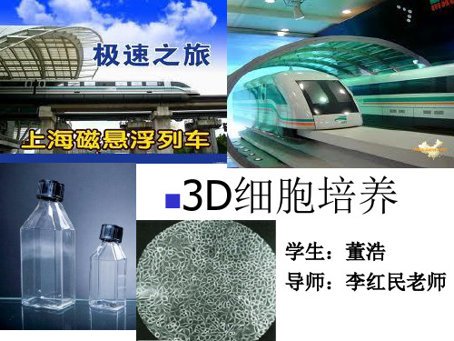 3D细胞培养