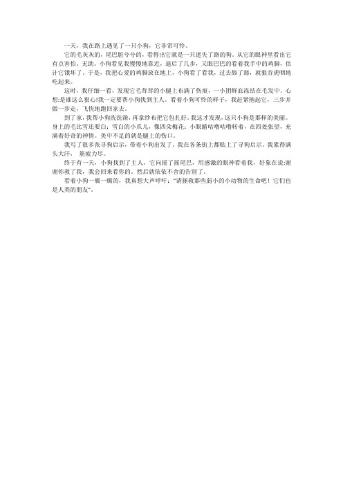 真情流露作文500字六年级救小狗