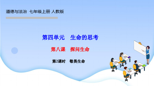 部编人教版七年级上期道德与法治作业课件 第八课 探问生命 第2课时 敬畏生命