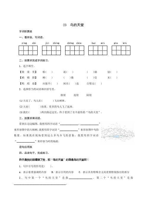 统编版小学语文 五年级上册 第7单元 23《鸟的天堂》课时测评