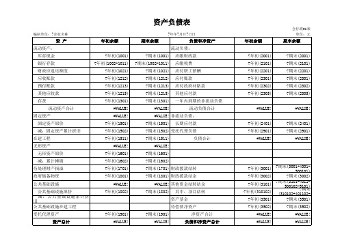 行政单位-资产负债表