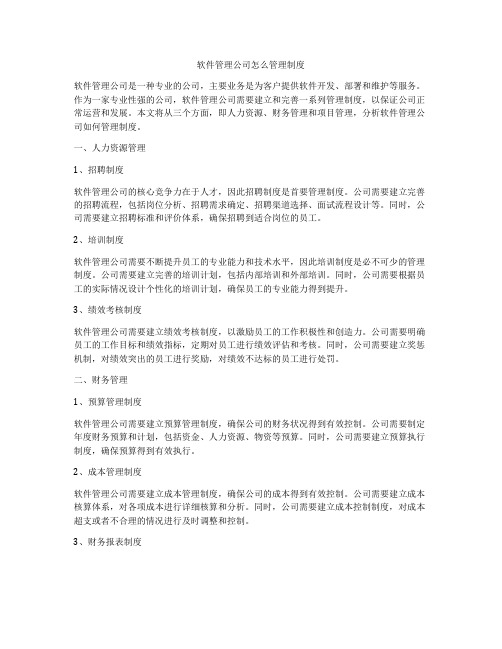 软件管理公司怎么管理制度